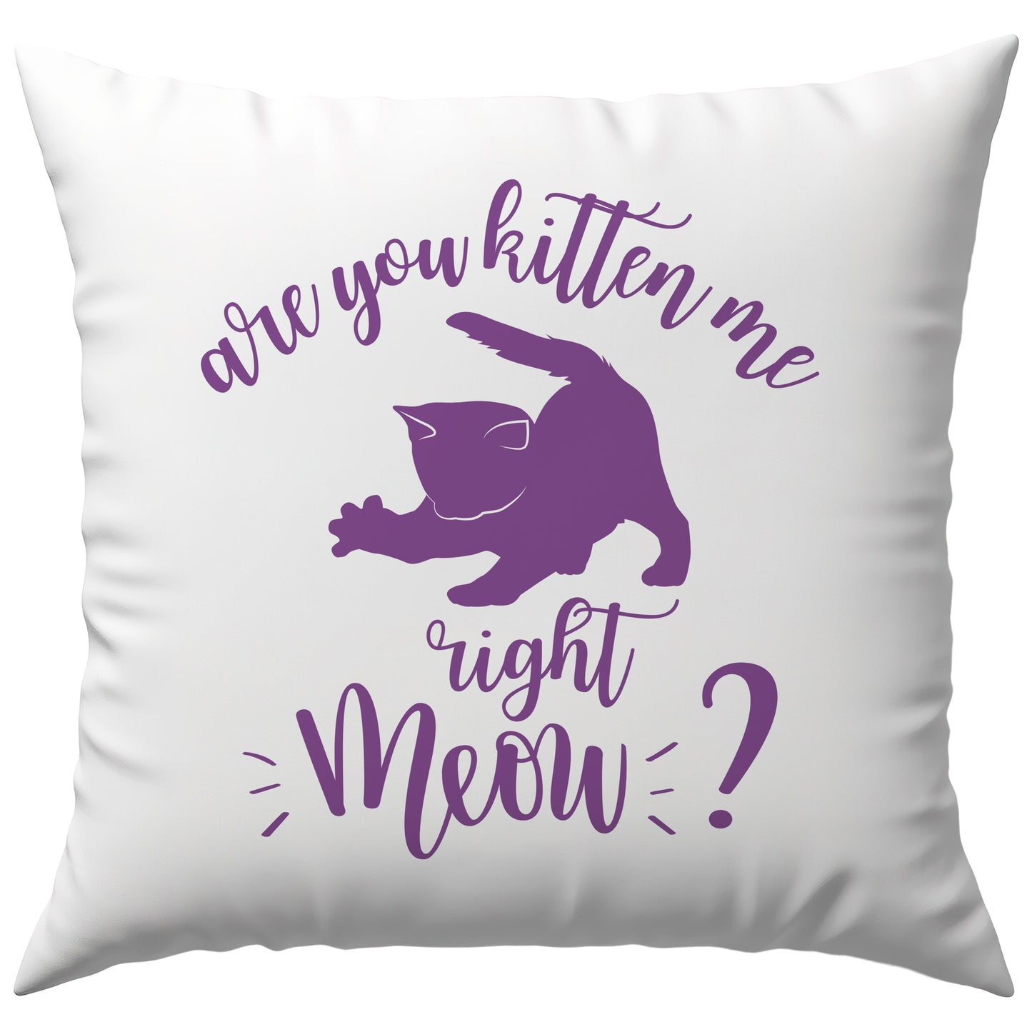 Are You Kitten Me Right Meow? Wortspiel Deko Kissen