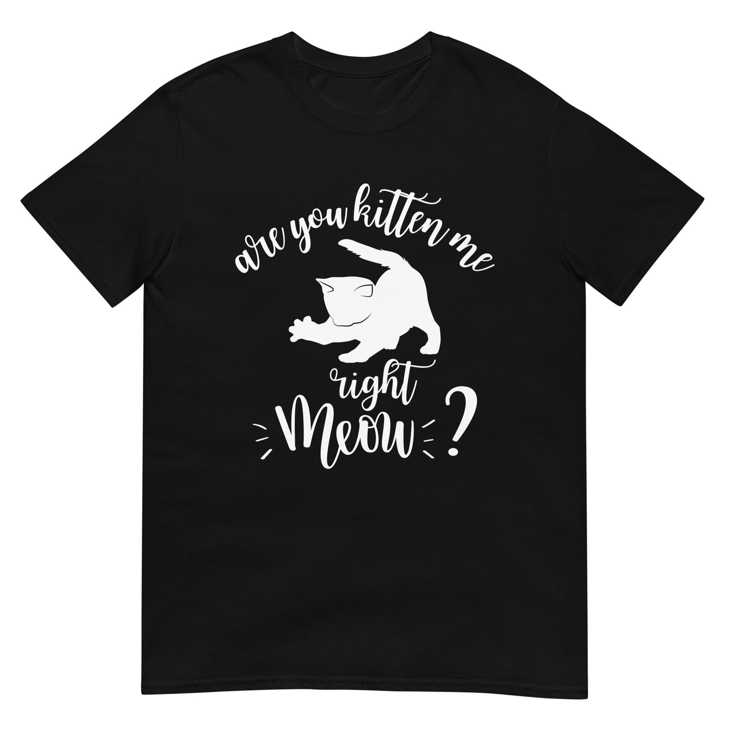 Are You Kitten Me Right Meow Katzen Wortspiel T-Shirt