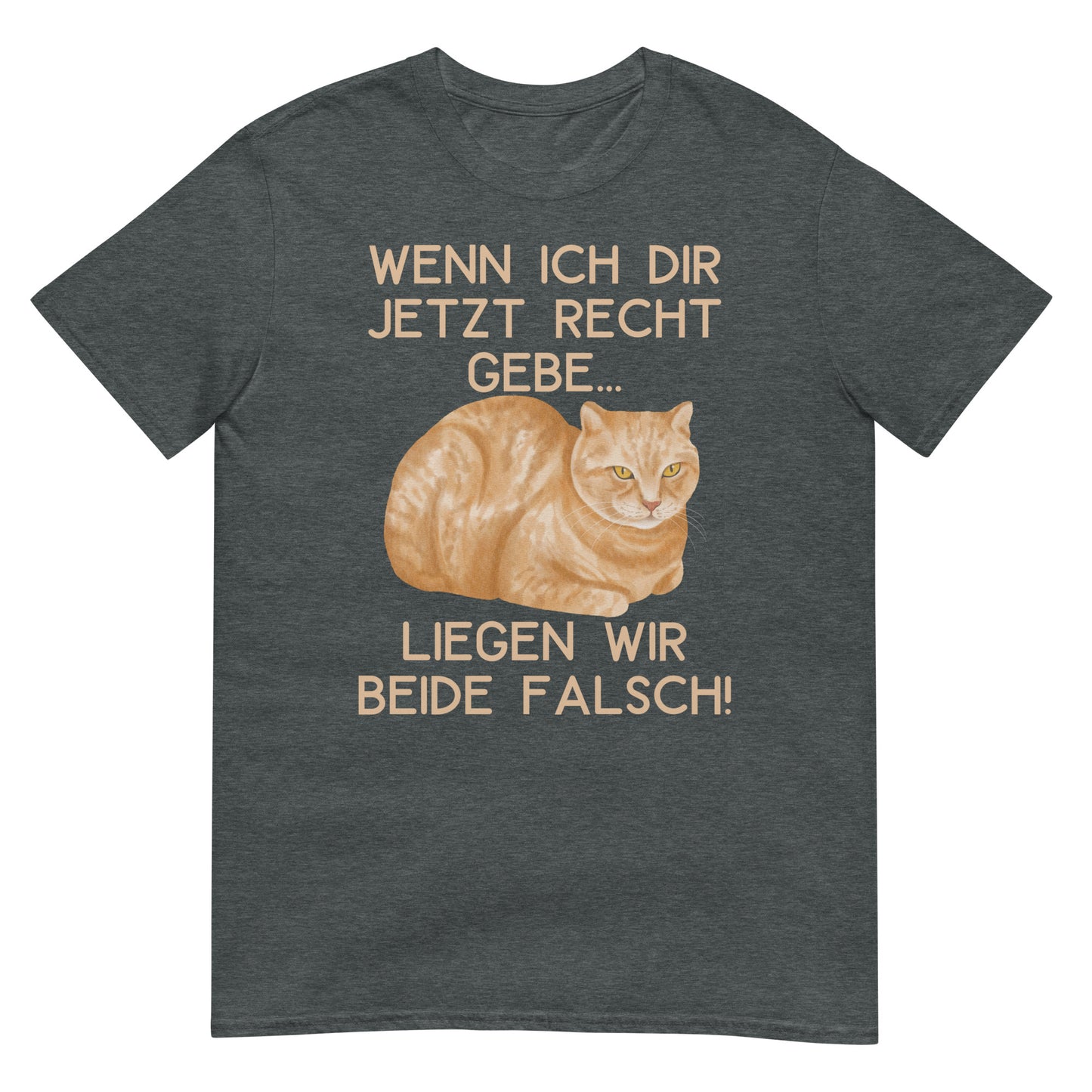 If I agree with you, we're both wrong cat t-shirt