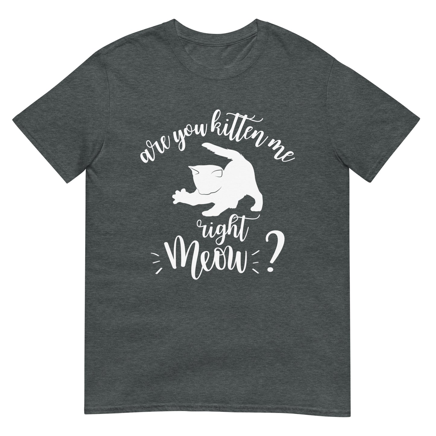 Are You Kitten Me Right Meow Katzen Wortspiel T-Shirt