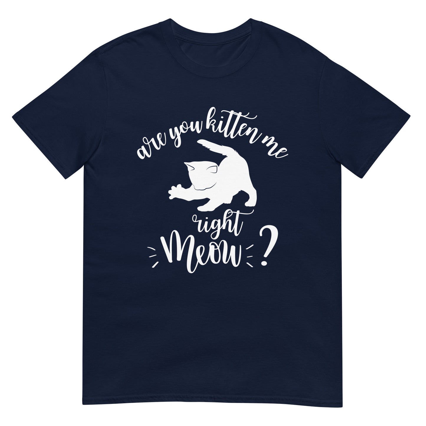 Are You Kitten Me Right Meow Katzen Wortspiel T-Shirt