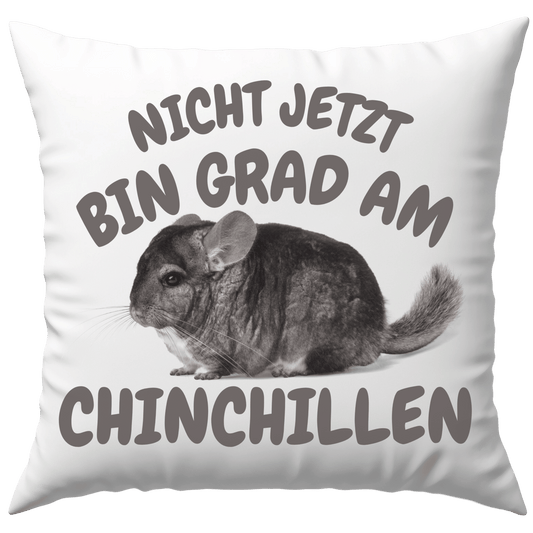 Nicht Jetzt Bin Grad Am Chinchillen Chinchilla Deko Kissen