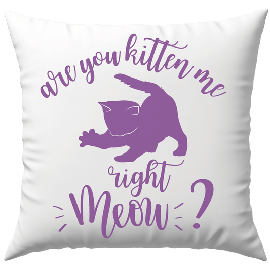 Are You Kitten Me Right Meow? Wortspiel Deko Kissen