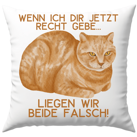 Wenn Ich Dir Jetzt Recht Gebe Liegen Wir Beide Falsch Katze Deko Kissen