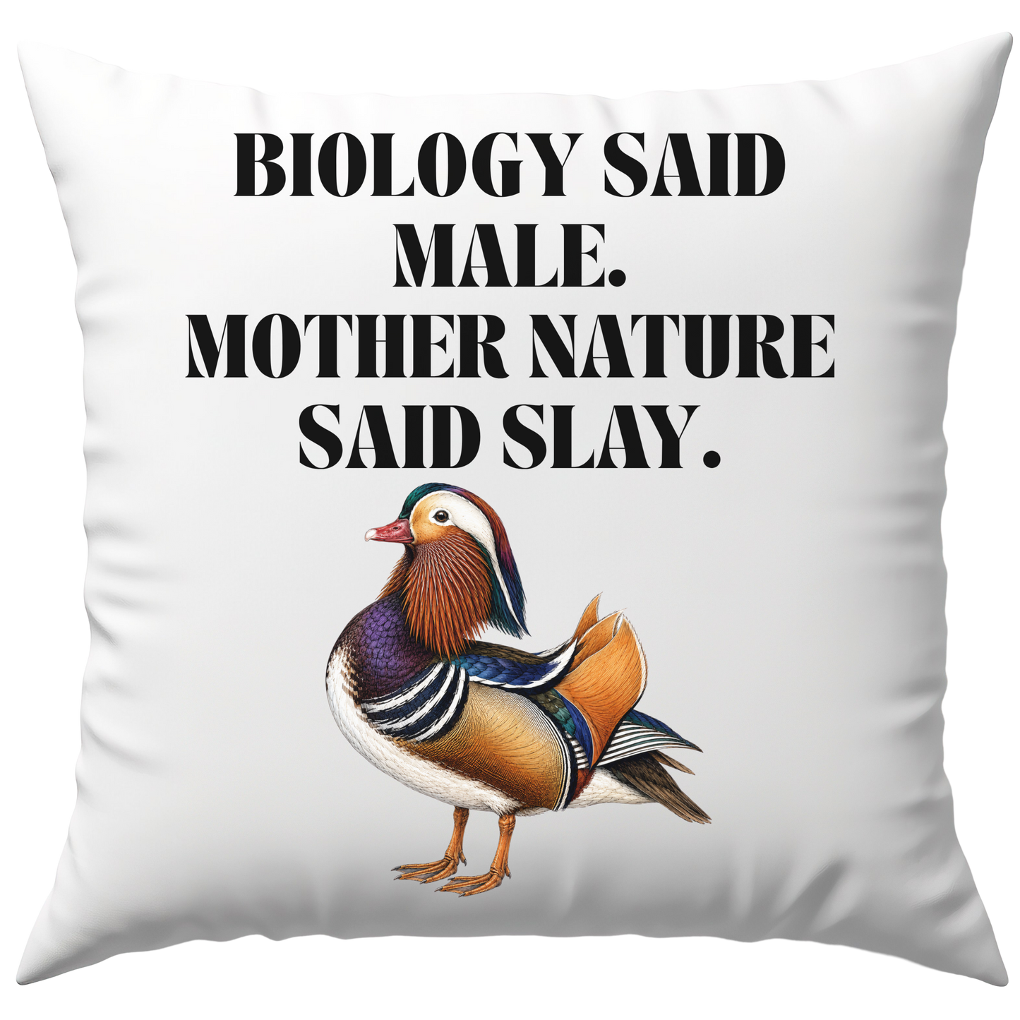 Biology Said Male Mother Nature Said Slay Deko Kissen