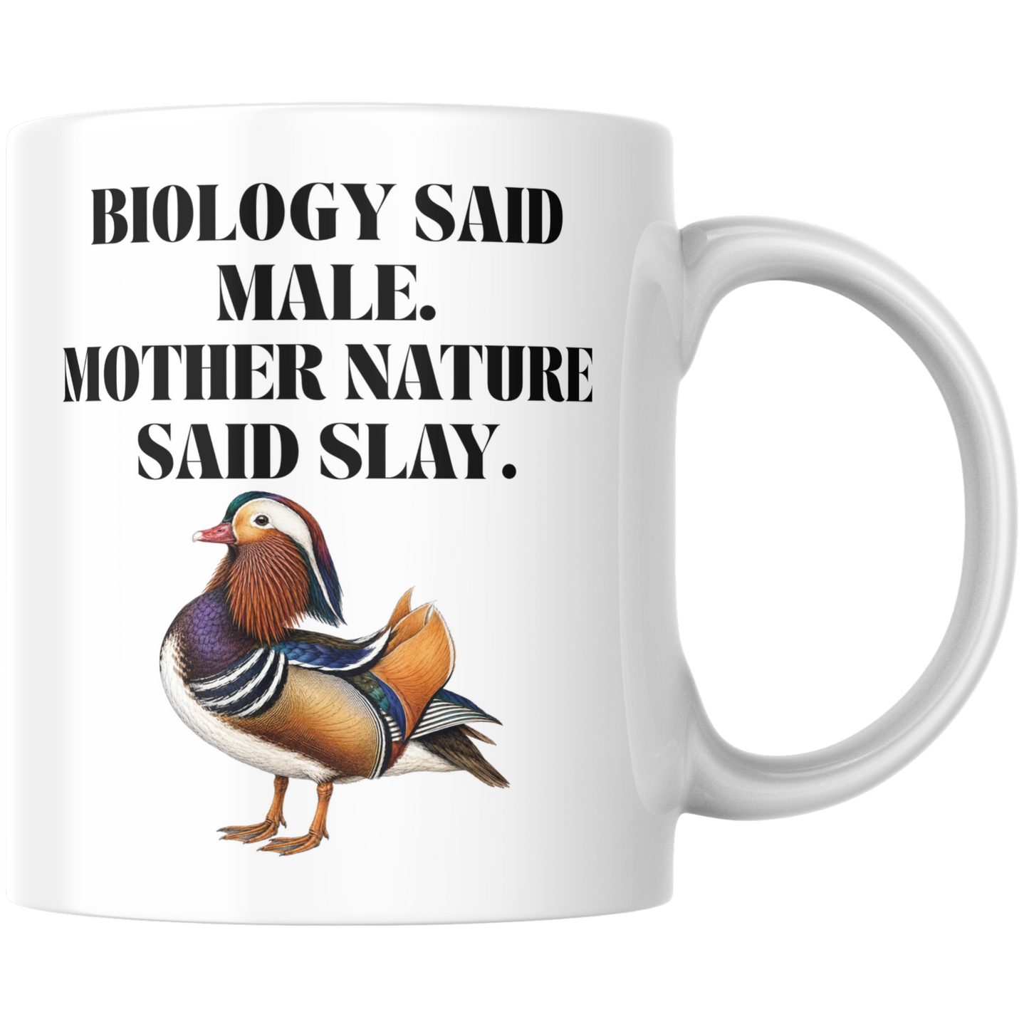 Biology Said Male Mother Nature Said Slay Kaffee Tasse