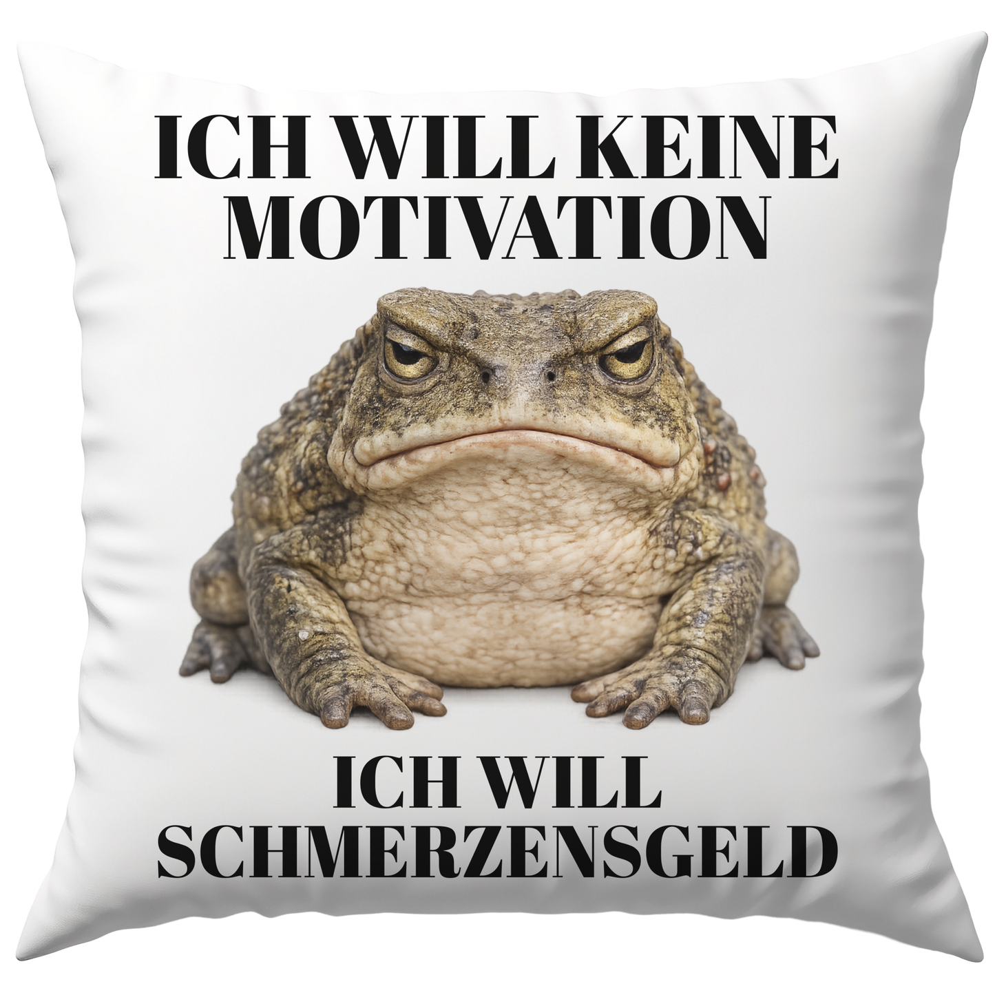 Ich Will Keine Motivation Ich Will Schmerzensgeld Deko Kissen