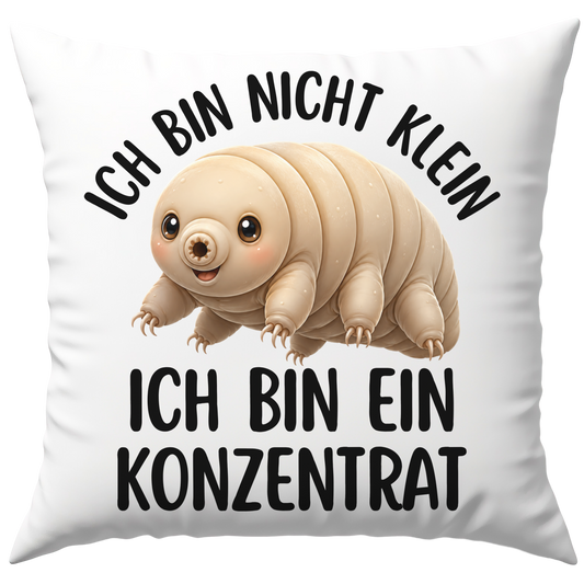 Ich Bin Nicht Klein Ich Bin Ein Konzentrat Deko Kissen